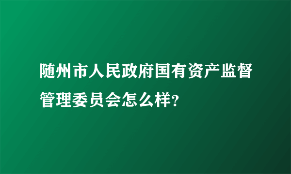 随州市人民政府国有资产监督管理委员会怎么样？