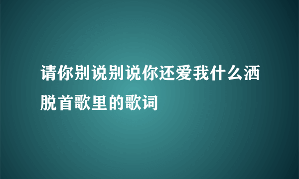 请你别说别说你还爱我什么洒脱首歌里的歌词