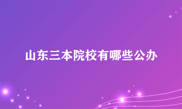 山东三本院校有哪些公办