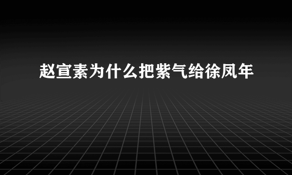 赵宣素为什么把紫气给徐凤年