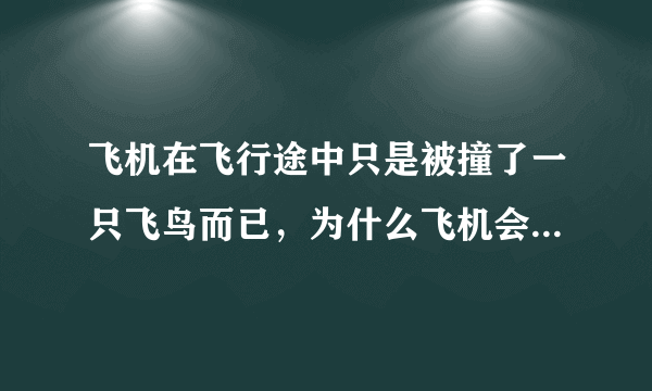 飞机在飞行途中只是被撞了一只飞鸟而已，为什么飞机会被撞凹凹凸凸的呢？ccctv飞机在天上飞的时候如果撞