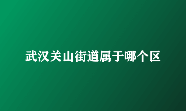 武汉关山街道属于哪个区