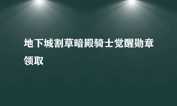 地下城割草暗殿骑士觉醒勋章领取