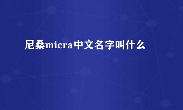 尼桑micra中文名字叫什么