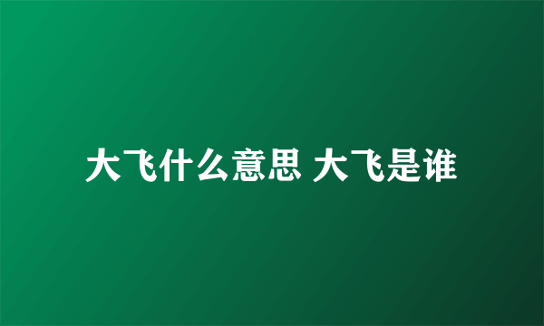 大飞什么意思 大飞是谁