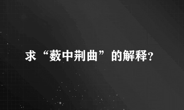 求“薮中荆曲”的解释？