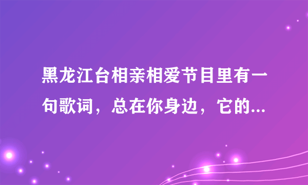 黑龙江台相亲相爱节目里有一句歌词，总在你身边，它的歌曲名是什么？