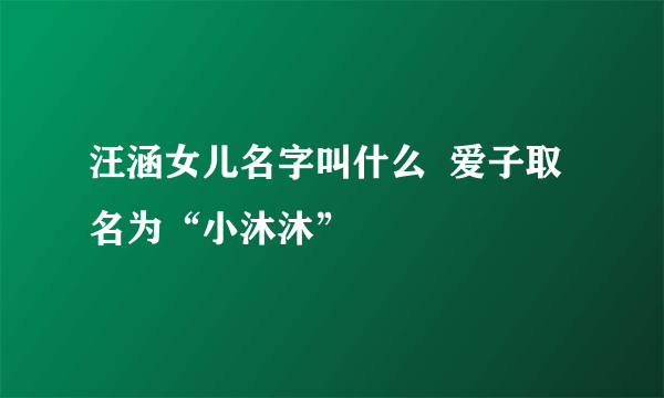 汪涵女儿名字叫什么  爱子取名为“小沐沐”