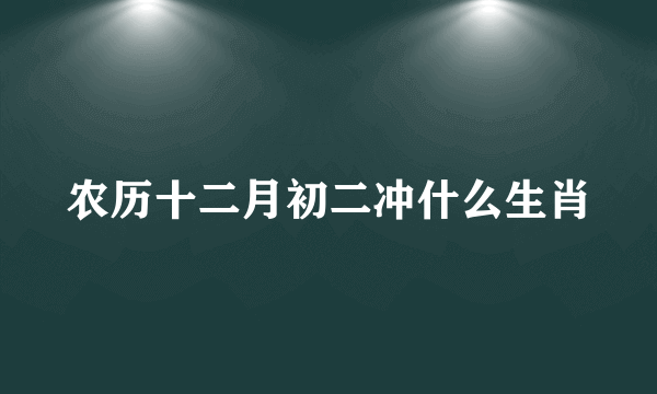 农历十二月初二冲什么生肖