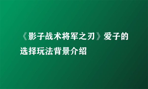 《影子战术将军之刃》爱子的选择玩法背景介绍