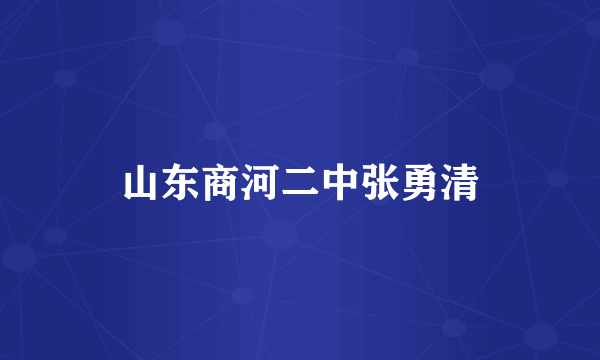 山东商河二中张勇清