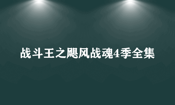 战斗王之飓风战魂4季全集