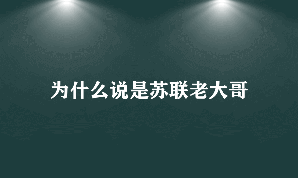 为什么说是苏联老大哥