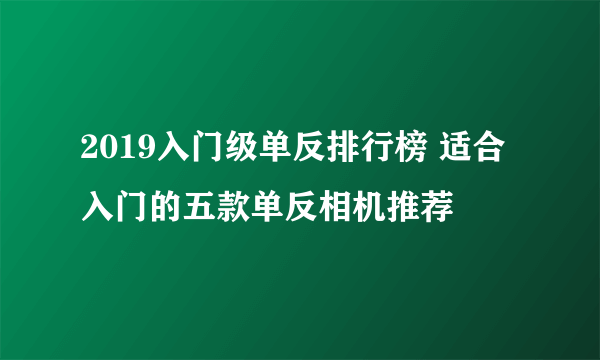 2019入门级单反排行榜 适合入门的五款单反相机推荐