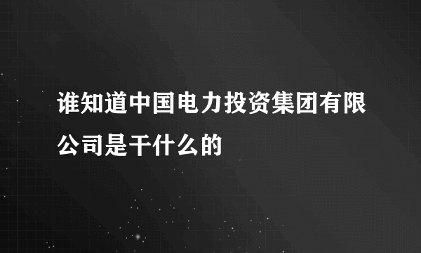 谁知道中国电力投资集团有限公司是干什么的