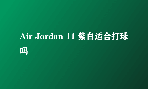 Air Jordan 11 紫白适合打球吗