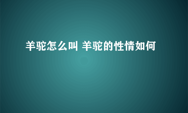 羊驼怎么叫 羊驼的性情如何