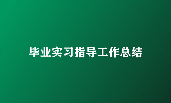 毕业实习指导工作总结