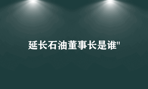 延长石油董事长是谁