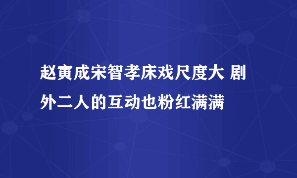 赵寅成宋智孝床戏尺度大 剧外二人的互动也粉红满满