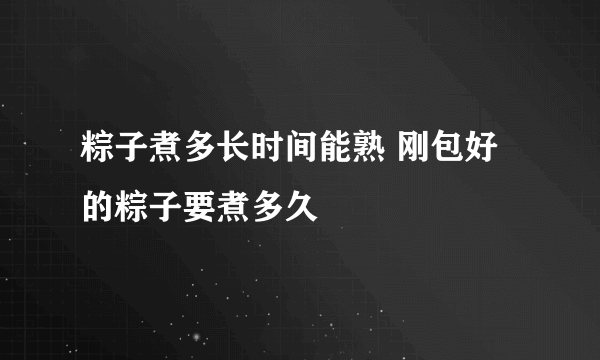 粽子煮多长时间能熟 刚包好的粽子要煮多久