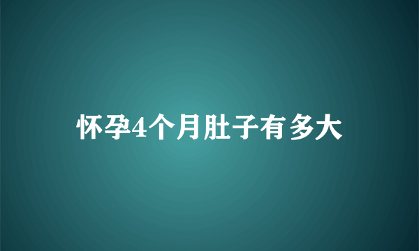 怀孕4个月肚子有多大