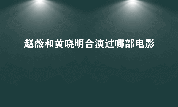 赵薇和黄晓明合演过哪部电影