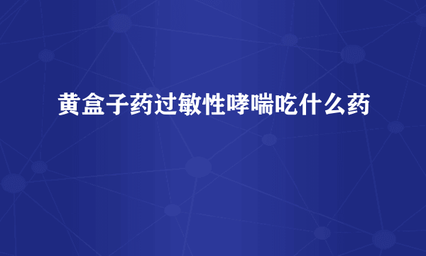 黄盒子药过敏性哮喘吃什么药