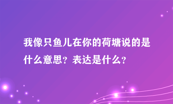 我像只鱼儿在你的荷塘说的是什么意思？表达是什么？