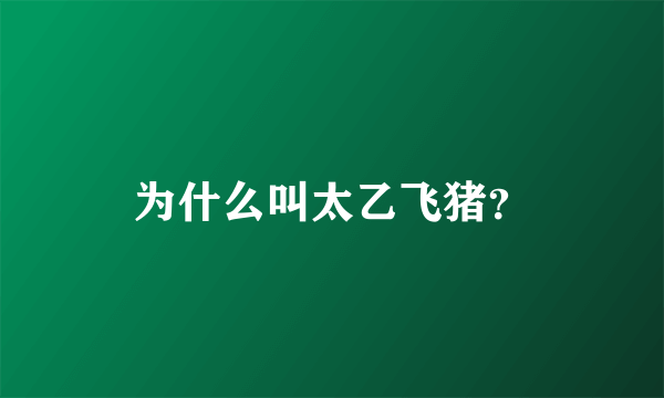 为什么叫太乙飞猪？