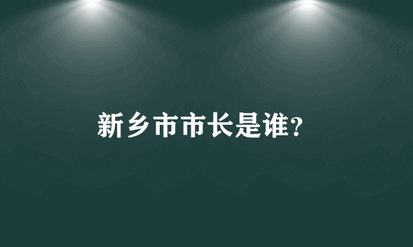 新乡市市长是谁？