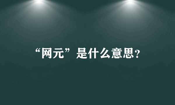 “网元”是什么意思？