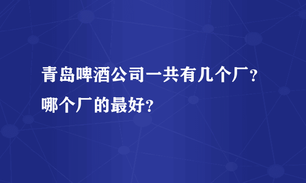 青岛啤酒公司一共有几个厂？哪个厂的最好？