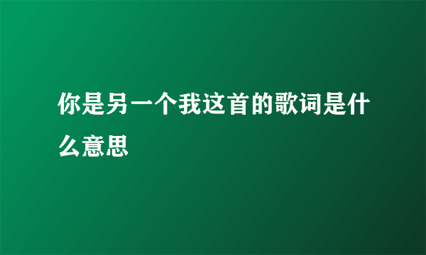 你是另一个我这首的歌词是什么意思