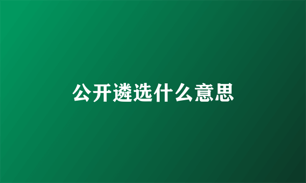 公开遴选什么意思