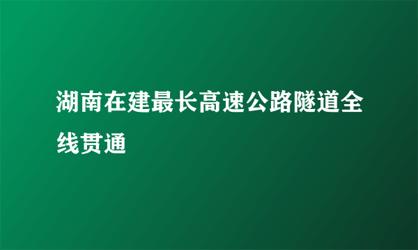 湖南在建最长高速公路隧道全线贯通