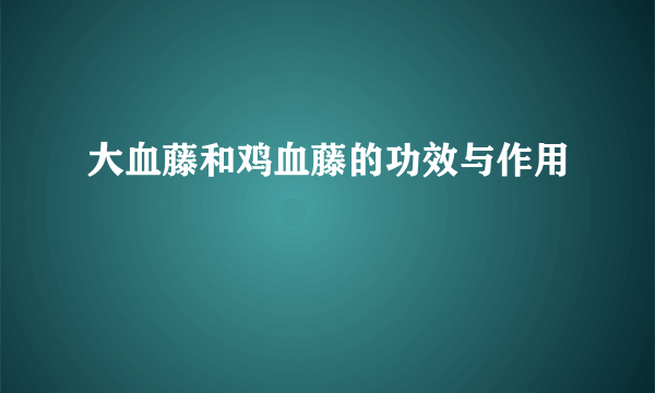 大血藤和鸡血藤的功效与作用