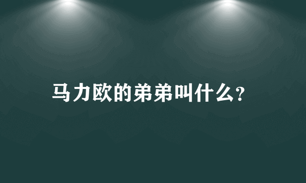 马力欧的弟弟叫什么？