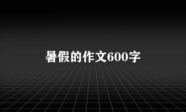 暑假的作文600字