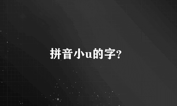 拼音小u的字？