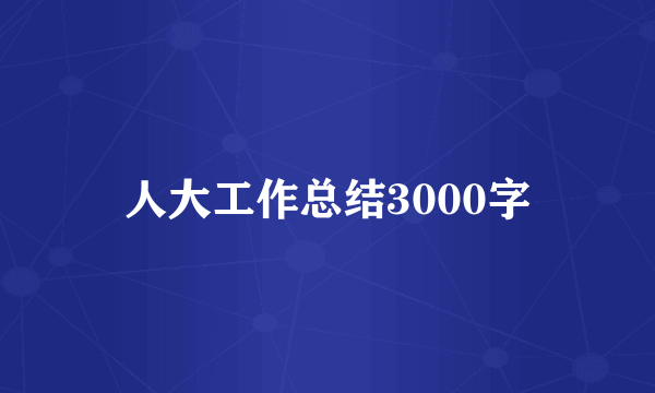 人大工作总结3000字