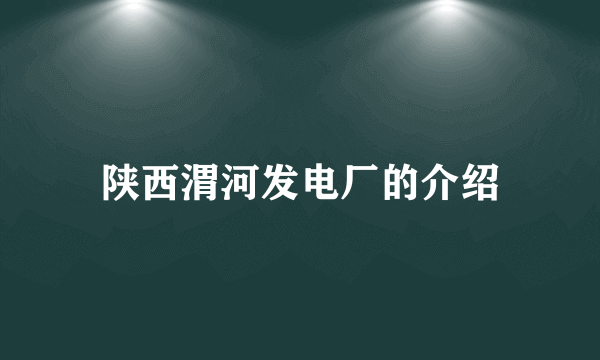 陕西渭河发电厂的介绍