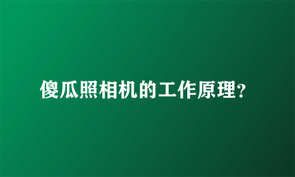 傻瓜照相机的工作原理？