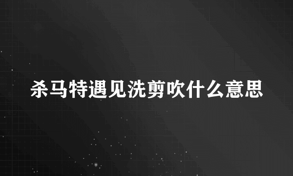 杀马特遇见洗剪吹什么意思