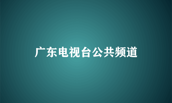 广东电视台公共频道