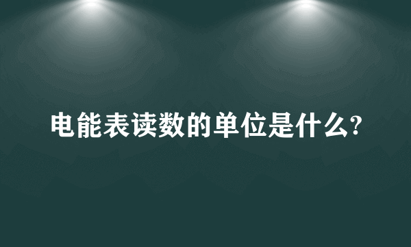 电能表读数的单位是什么?