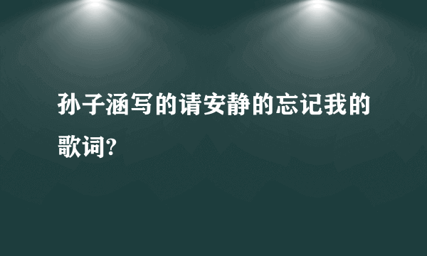 孙子涵写的请安静的忘记我的歌词?