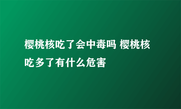 樱桃核吃了会中毒吗 樱桃核吃多了有什么危害