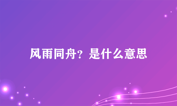 风雨同舟？是什么意思