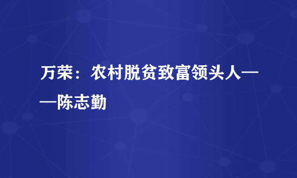 万荣：农村脱贫致富领头人——陈志勤